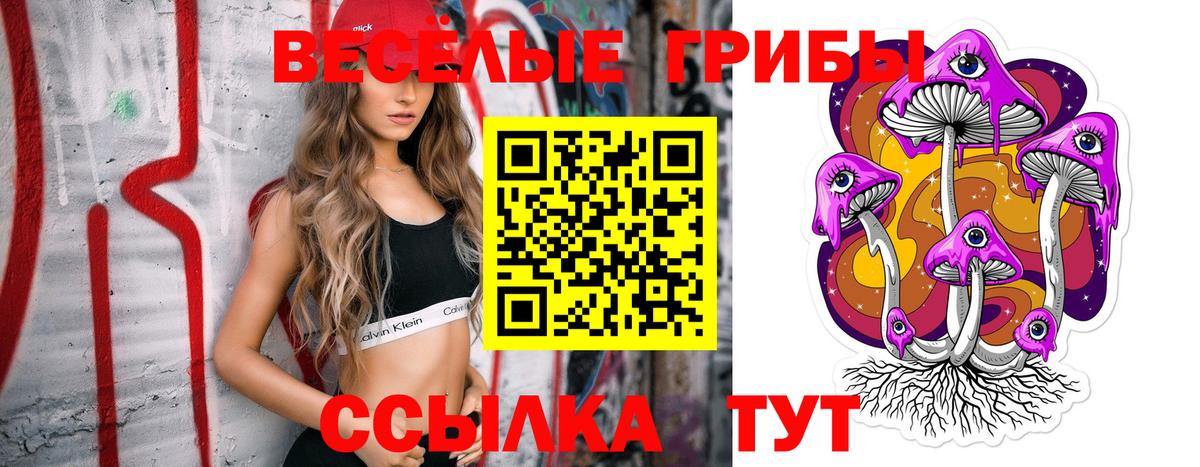Псилоцибиновые грибы прущие грибы  Вход с VPN  Кувандык 